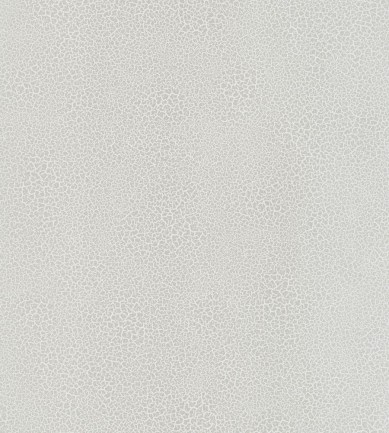 Nobilis Raku EDM22 tapéta