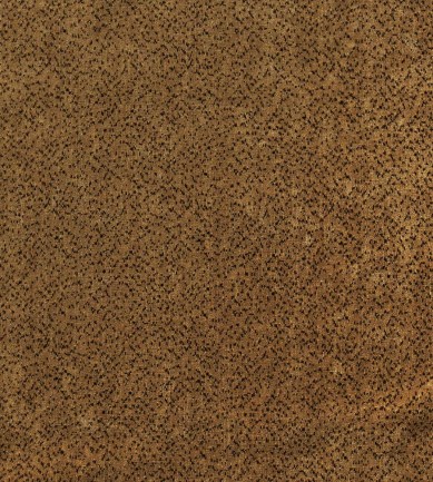 Nobilis Velours Dalmatien Cumin textil