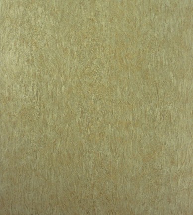 Osborne and Little Falcon W6901-02 tapéta - Paisley Home