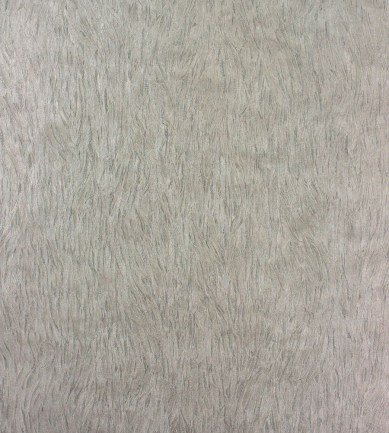 Osborne and Little Falcon W6901-05 tapéta - Paisley Home