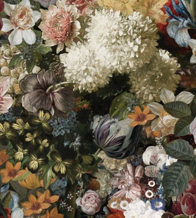 Osborne & Little Fullerton W7454-02 tapéta