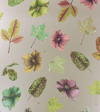 Osborne and Little Woodland W7020-01 tapéta - Paisley Home