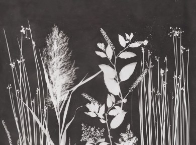 Pierre Frey FP520001 Acorus Fusain luxus tapéta