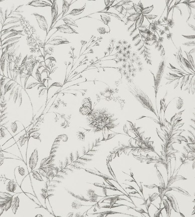 Ralph Lauren Fern Toile Pencil tapéta - Paisley Home