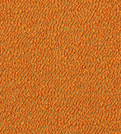 Rohi Sera Chutney gyapjú textil