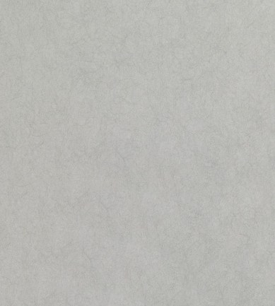 Romo Asper Silver tapéta - Paisley Home