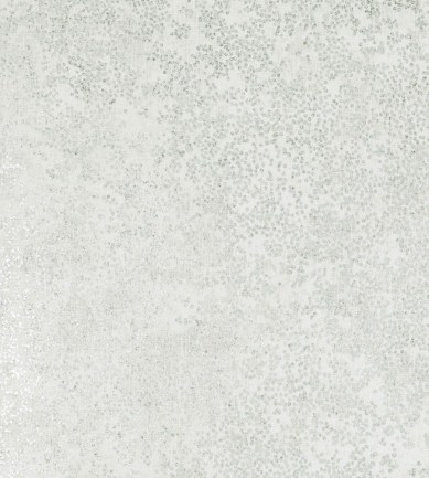 Romo Nyiri Egret tapéta