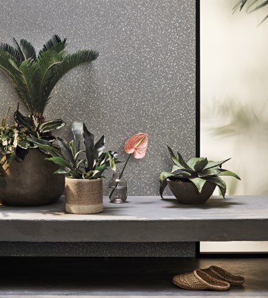 Paisley Home - Romo tapéták teljes választéka