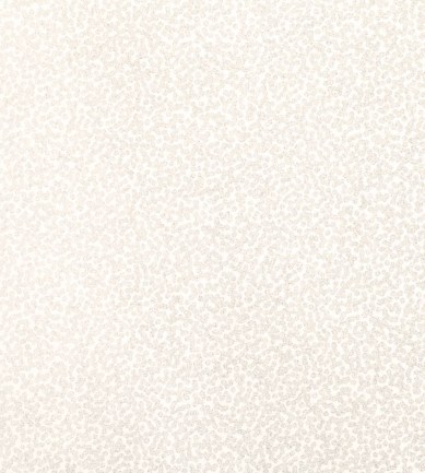 Romo Tilla Whitewash tapéta - Paisley Home