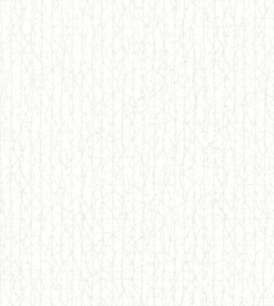 Rubelli Craquele Wall 23024 Bianco exkluzív tapéta - Paisley Home