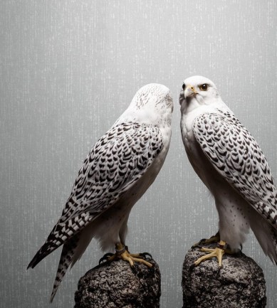 Rubelli Travertino Wall 23017 Sabbia exkluzív tapéta - Paisley Home