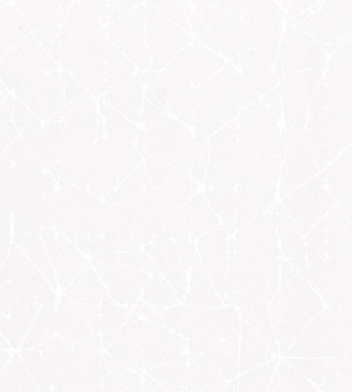 Rubelli Vermeer Wall 23025 Avorio exkluzív tapéta - Paisley Home