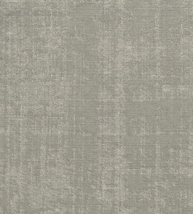 Rubelli Venier Argento textil