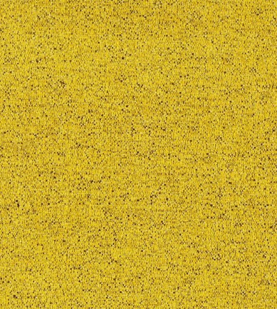 Rubelli Zirma Oro textil