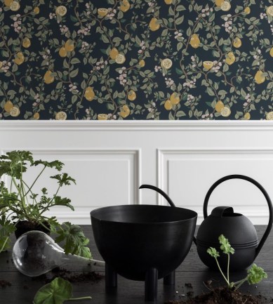 Paisley Home - Sandberg tapéták teljes választéka