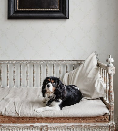 Paisley Home - Sandberg tapéták teljes választéka