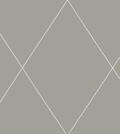 Sandberg Robin Dark Grey tapéta - Paisley Home