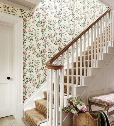 Paisley Home - Sanderson tapéták teljes választéka