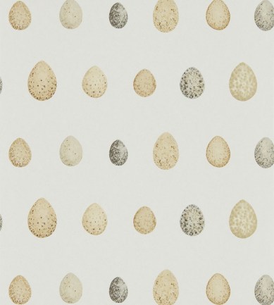 Sanderson Nest Egg Corn Graphite tapéta