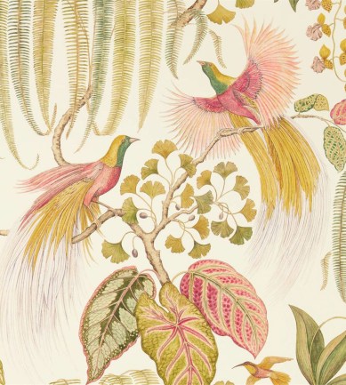 Sanderson Bird Of Paradise Olive tapéta