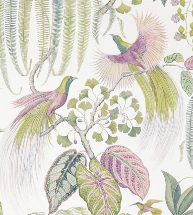 Sanderson Bird Of Paradise Orchid tapéta