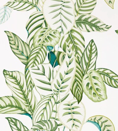 Sanderson Calathea Botanical Green tapéta