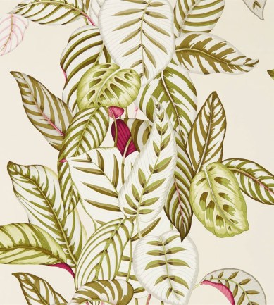 Sanderson Calathea Olive tapéta