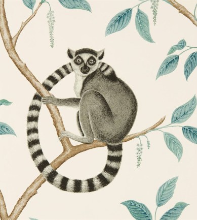 Sanderson Ringtailed Lemur Stone-Eucalyptus tapéta