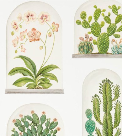 Sanderson Terrariums Chalk-Green tapéta