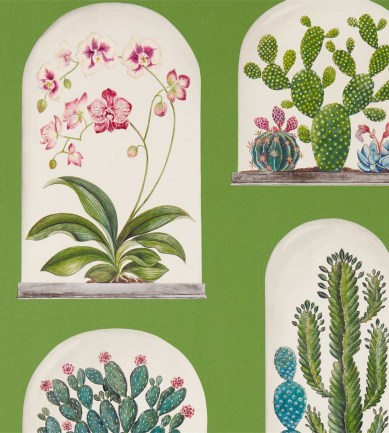 Sanderson Terrariums Botanical Green-Multi tapéta