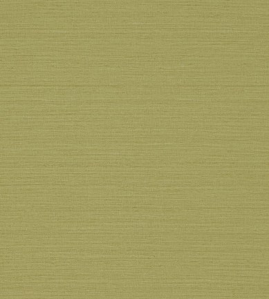 Sanderson Io Gold tapéta - Paisley Home