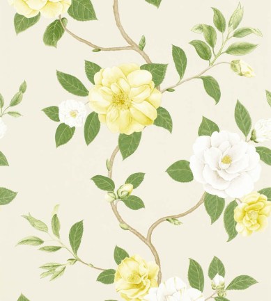 Sanderson Christabel Yellow/Ivory tapéta - Paisley Home