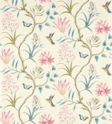 Sanderson Clementine Dusky Pink tapéta - Paisley Home