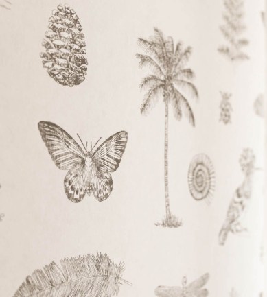 Sanderson Cocos Ivory/Charcoal tapéta - Paisley Home