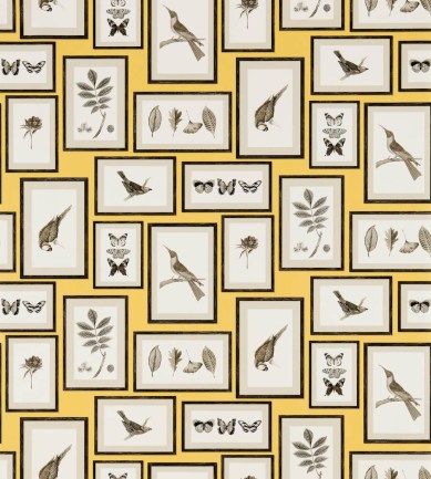 Sanderson Picture Gallery Yellow/Charcoal tapéta - Paisley Home