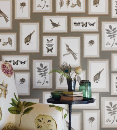 Sanderson Picture Gallery Taupe/Sepia tapéta - Paisley Home
