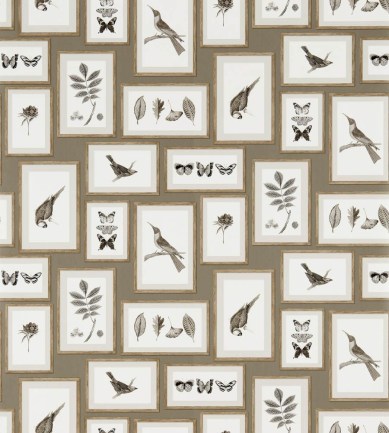 Sanderson Picture Gallery Taupe/Sepia tapéta - Paisley Home