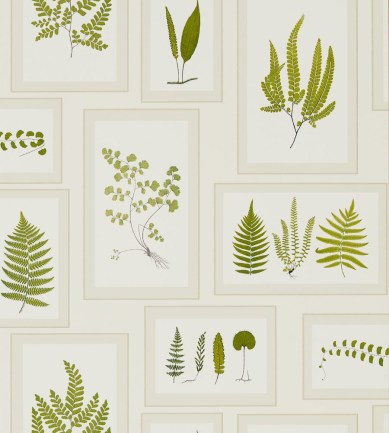 Sanderson Fern Gallery Ivory/Green tapéta - Paisley Home
