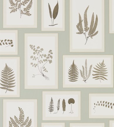 Sanderson Fern Gallery Blue/Sepia tapéta - Paisley Home
