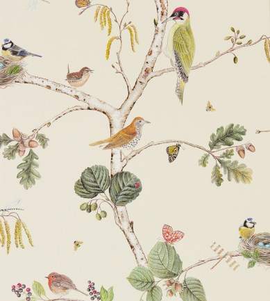 Sanderson Woodland Chorus Cream/Multi tapéta - Paisley Home