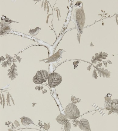 Sanderson Woodland Chorus Sepia/Neutral tapéta - Paisley Home