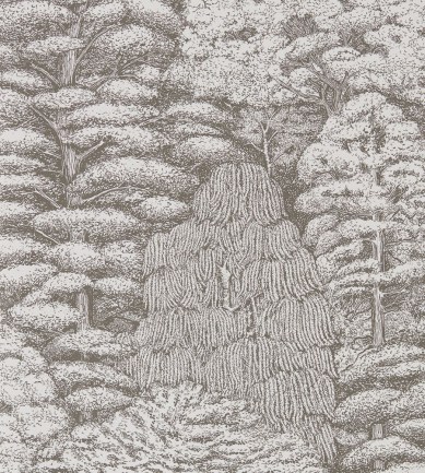 Sanderson Woodland Toile Ivory/Charcoal tapéta - Paisley Home