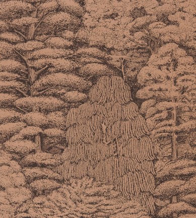 Sanderson Woodland Toile Cream/Green tapéta - Paisley Home