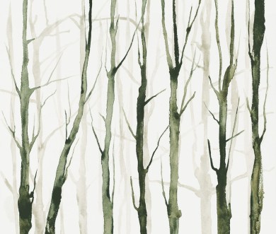 Paisley Home - Tecnografica exkluzív tapéták és falpanelek teljes választéka