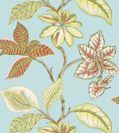 Thibaut Lucala Blue and Pink tapéta - Paisley Home