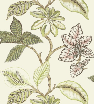 Thibaut Lucala Cream tapéta - Paisley Home
