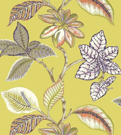 Thibaut Lucala Citron tapéta - Paisley Home
