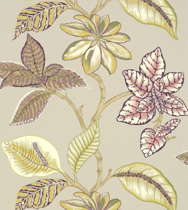 Thibaut Lucala Linen and Plum tapéta - Paisley Home