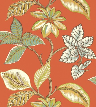 Thibaut Lucala Coral tapéta - Paisley Home