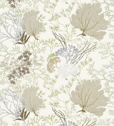Thibaut Molokini Natural tapéta - Paisley Home